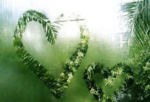 雷速体育下载-中国羽毛球队力克日本羽毛球队，李宗伟高光表现的简单介绍